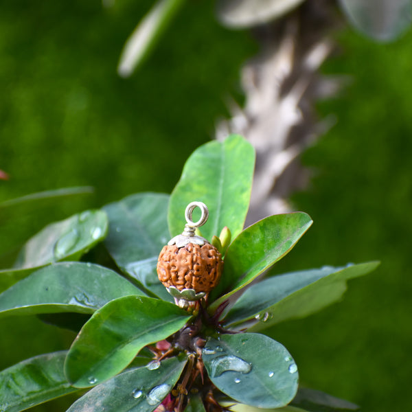 7 Mukhi Rudraksha Gold-plated Wood Pendant