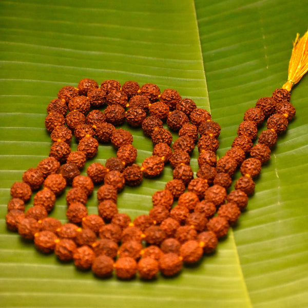 Ng Gems 5 Mukhi Rudraksha Mala for Pooja (Astrology) for Unisex (108 +1 Beads) (LAB Certified) -04 Wood Chain