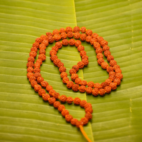 PanchMukhi Rudraksha Jaap Mala Original 108 Beads Wood Chain